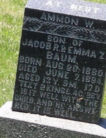 Ammon W Baum on Sysoon
