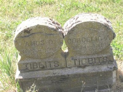 Amos O. Tibbits, Find a grave on Sysoon Amos O. Tibbits on Sysoon