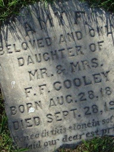Amy F. Cooley on Sysoon