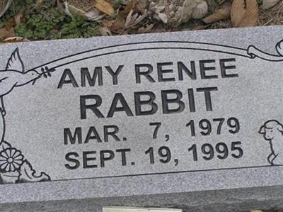 Amy Renee Rabbit on Sysoon