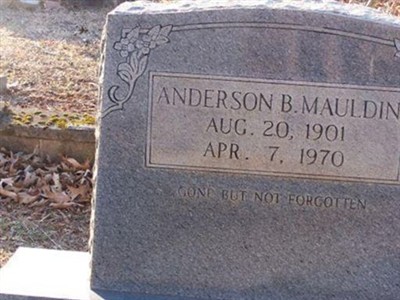 Anderson B. Mauldin on Sysoon
