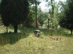 Anderson Cemetery on Sysoon