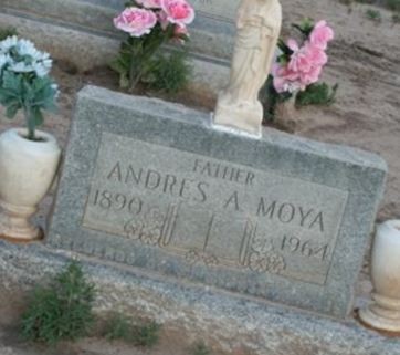 Andres Arsate Moya on Sysoon