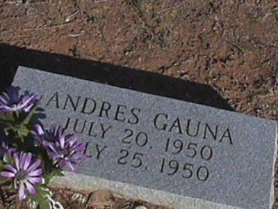 Andres Gauna on Sysoon