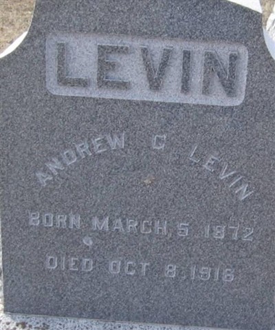 Andrew C Levin on Sysoon