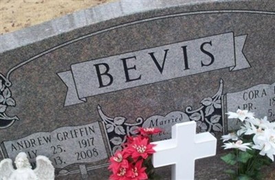 Andrew Griffin Bevis on Sysoon