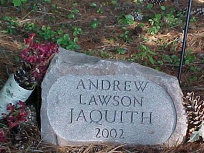 Andrew Lawson Jaquith on Sysoon
