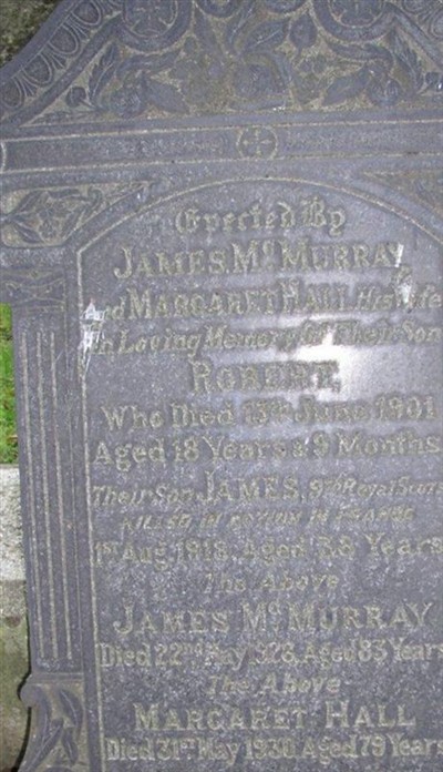 Andrew McMurray on Sysoon