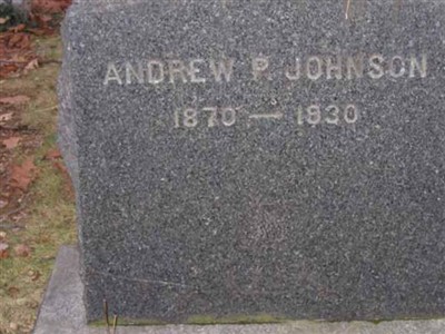 Andrew P. Johnson on Sysoon