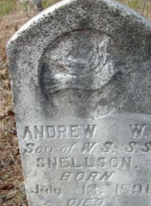 Andrew W. Snelson, Find a grave on Sysoon Andrew W. Snelson on Sysoon