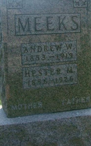 Andrew Watson Meeks on Sysoon