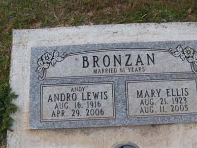 Andro "Andy" Bronzan on Sysoon
