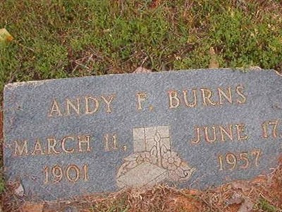 Andy F Burns on Sysoon