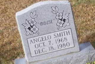 Angelo "Mouse" Smith on Sysoon