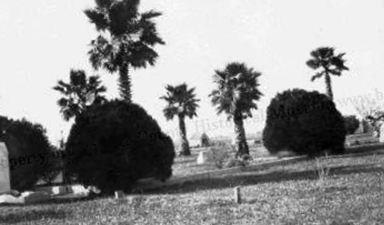 Angleton Cemetery on Sysoon