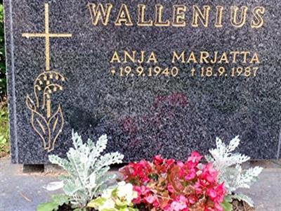 Anja Marjatta Wallenius on Sysoon