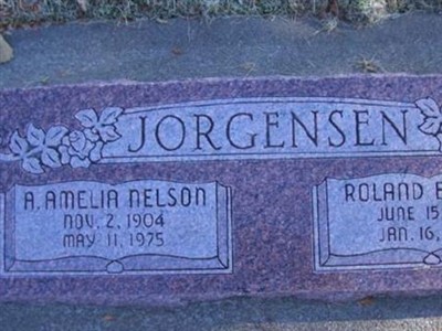 Ann Amelia Nelson Jorgensen on Sysoon