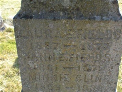 Ann E. Fields on Sysoon
