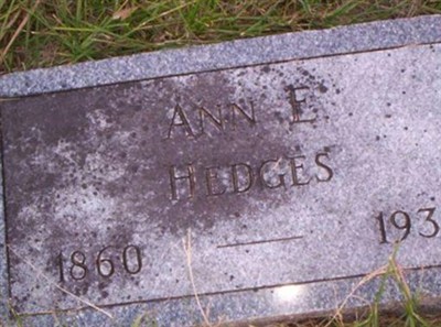Ann E. Hedges on Sysoon