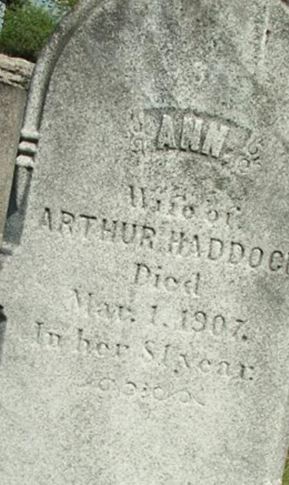 Ann Haddock on Sysoon