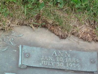 Ann Kamp on Sysoon