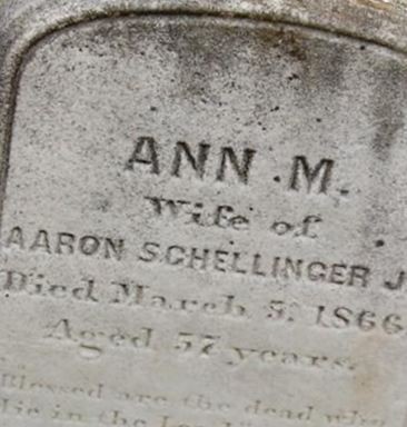 Ann M Schellinger on Sysoon