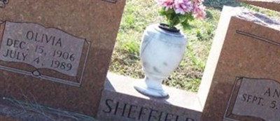 Ann Sheffield on Sysoon