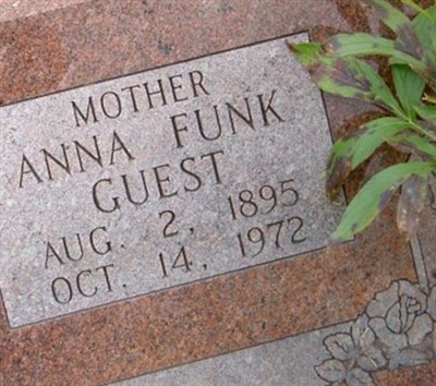 Anna Funk Guest on Sysoon