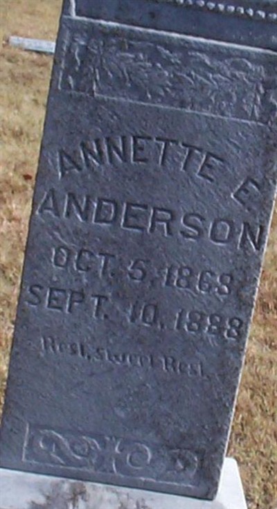 Annette E "Nettie" Anderson on Sysoon