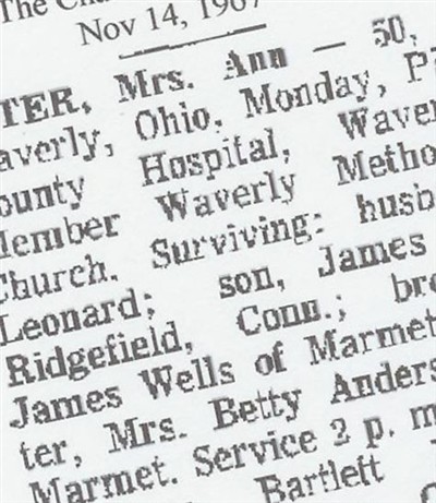 Annie Ardenia Wells Nester on Sysoon
