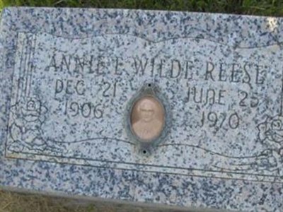 Annie Eliza Wilde Reese on Sysoon