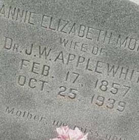 Annie Elizabeth Morgan Applewhite on Sysoon