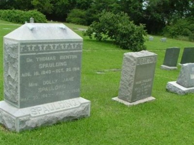 Annie Elizabeth Spaulding Williams on Sysoon