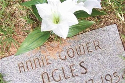 Annie Gower Ogles on Sysoon