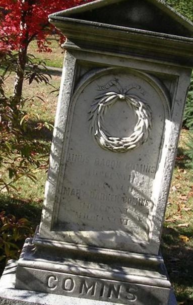Annie V. Comins on Sysoon