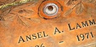 Ansel Adonis Lamm on Sysoon