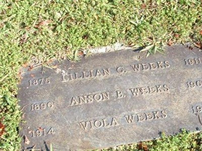 Anson Weeks on Sysoon