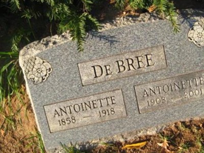 Antoinette DeBree on Sysoon