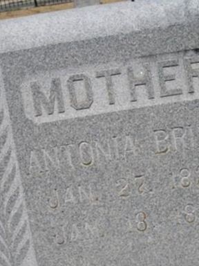 Antonia Lieck Briam on Sysoon