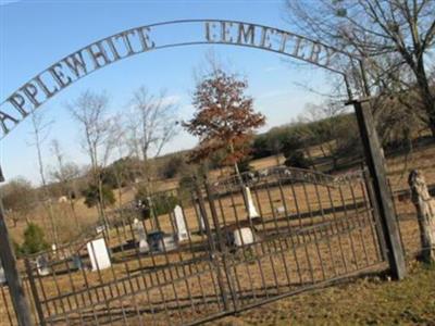 Applewhite Cemetery on Sysoon