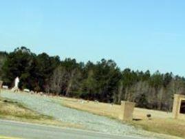 Appling Memorial Cemetery on Sysoon