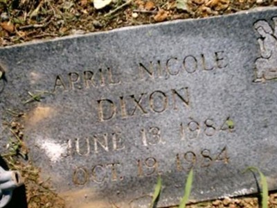 April Nicole Dixon on Sysoon