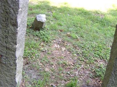 Arborvitae Cemetery on Sysoon