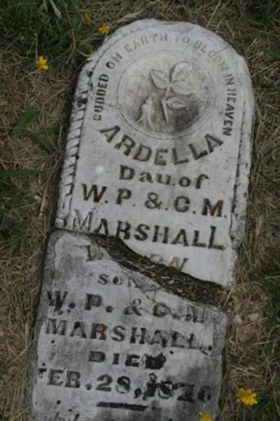 Ardella Marshall on Sysoon
