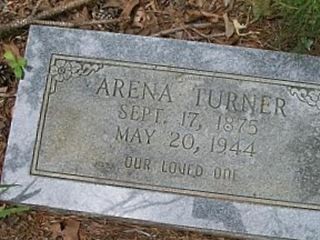 Arena Turner on Sysoon
