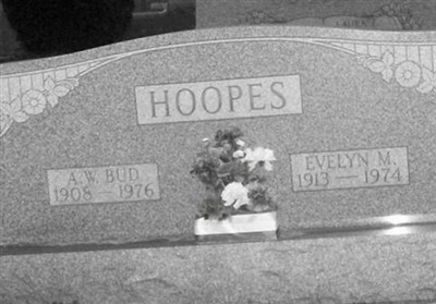 Arlan Walter "BUD" Hoopes on Sysoon