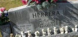 Armando Javier "Harvey" Herrera on Sysoon