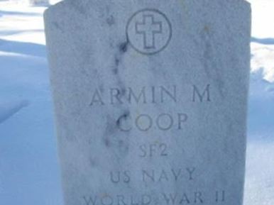 Armin M Coop on Sysoon