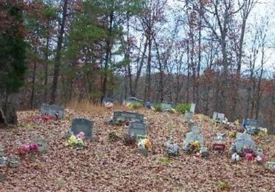 Arnolds Creek Cemetery on Sysoon