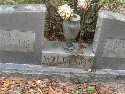 Arrie E Hines Williams on Sysoon